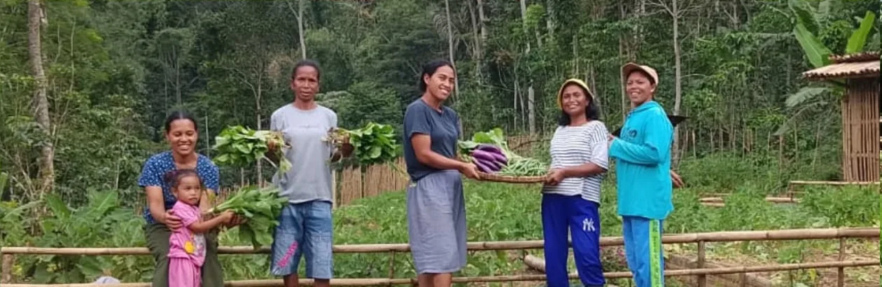Panen kebun dan ternak di Golo Loni, Manggarai Timur.